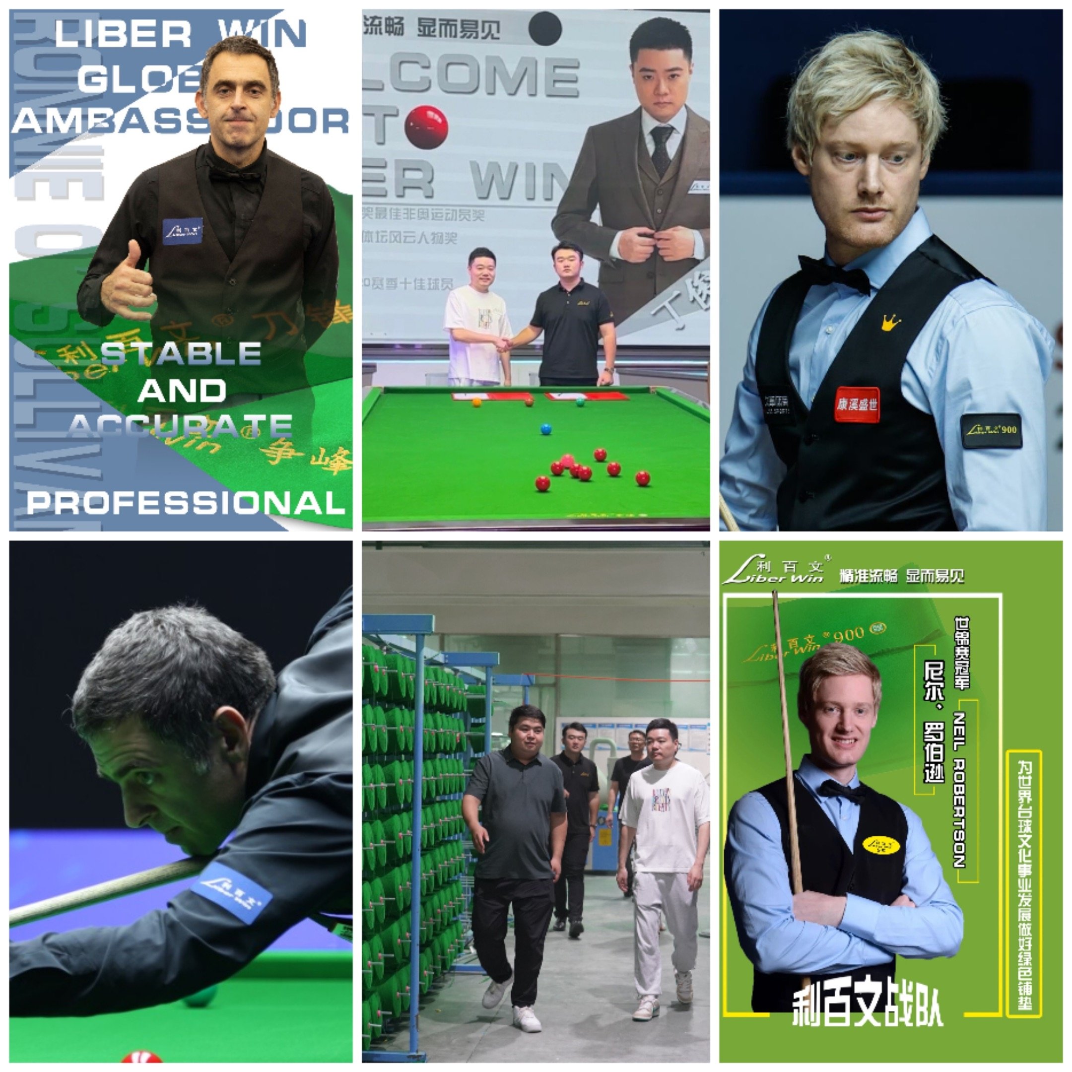 Liberwin DRL cheap snooker cloth durable fast economical pingwen cloth snooker cloth whole set