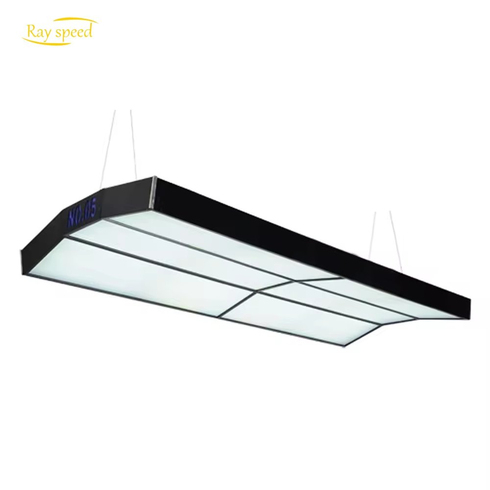 Rayspeed Customizable High Quality No Shadow Billiard Snooker LED Pool Table Light
