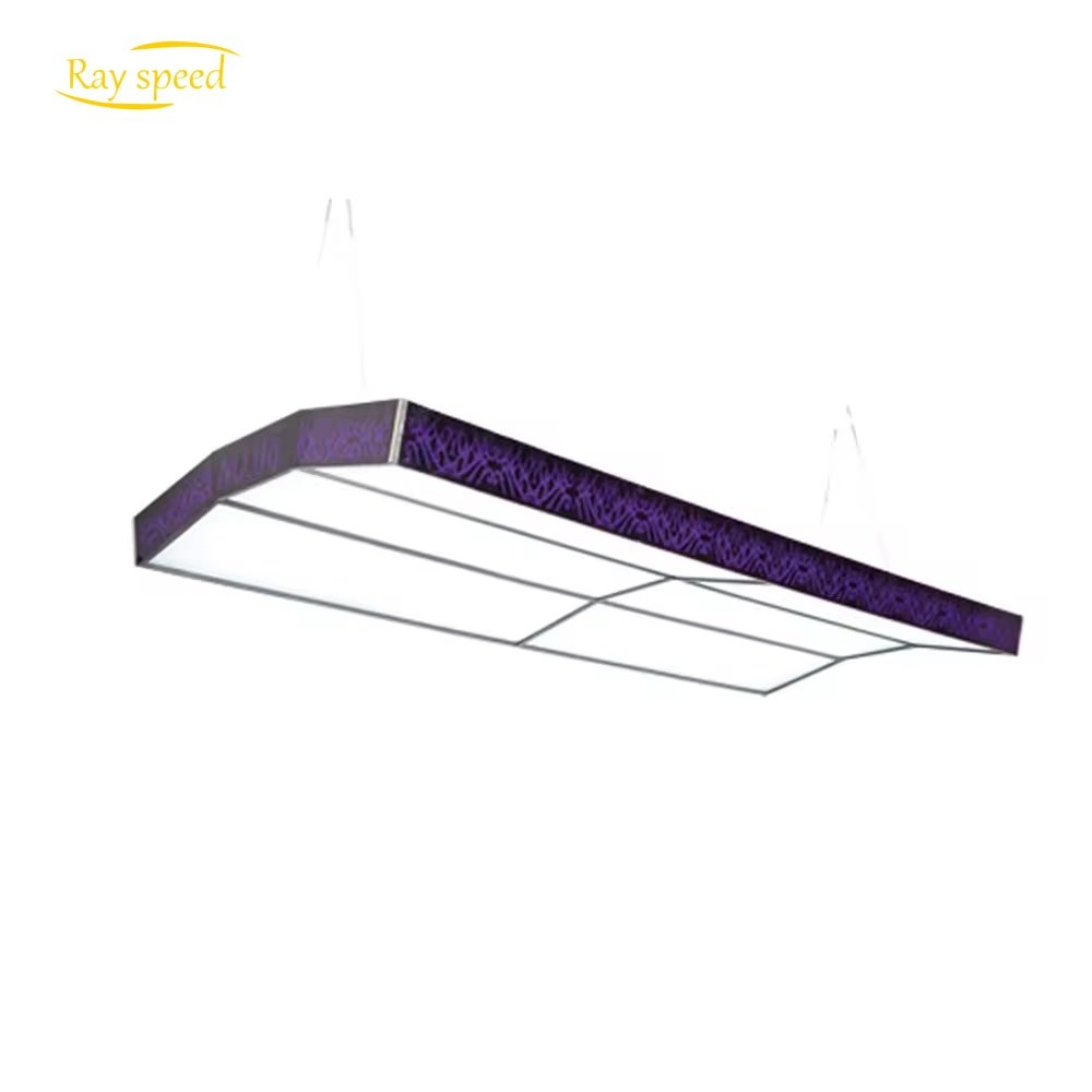 Rayspeed Customizable High Quality No Shadow Billiard Snooker LED Pool Table Light