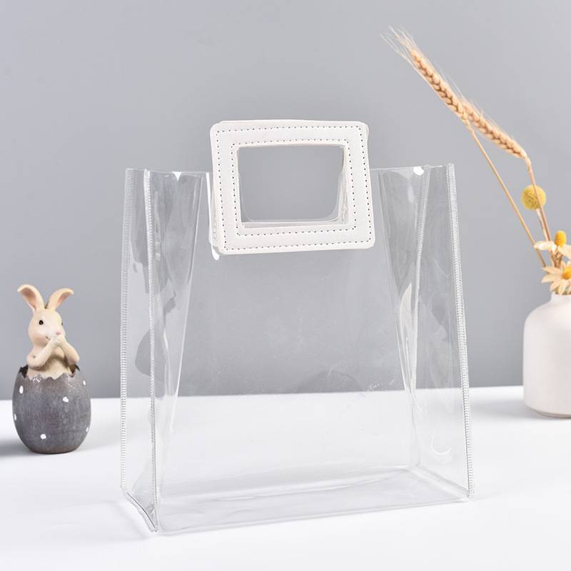 Flying Disk Gift Bag [1]