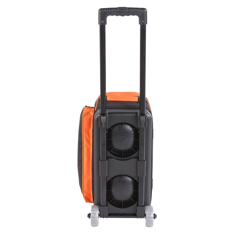 ZTE's new Aboni ebonite bold ball bun lever transparent wheel double ball bag