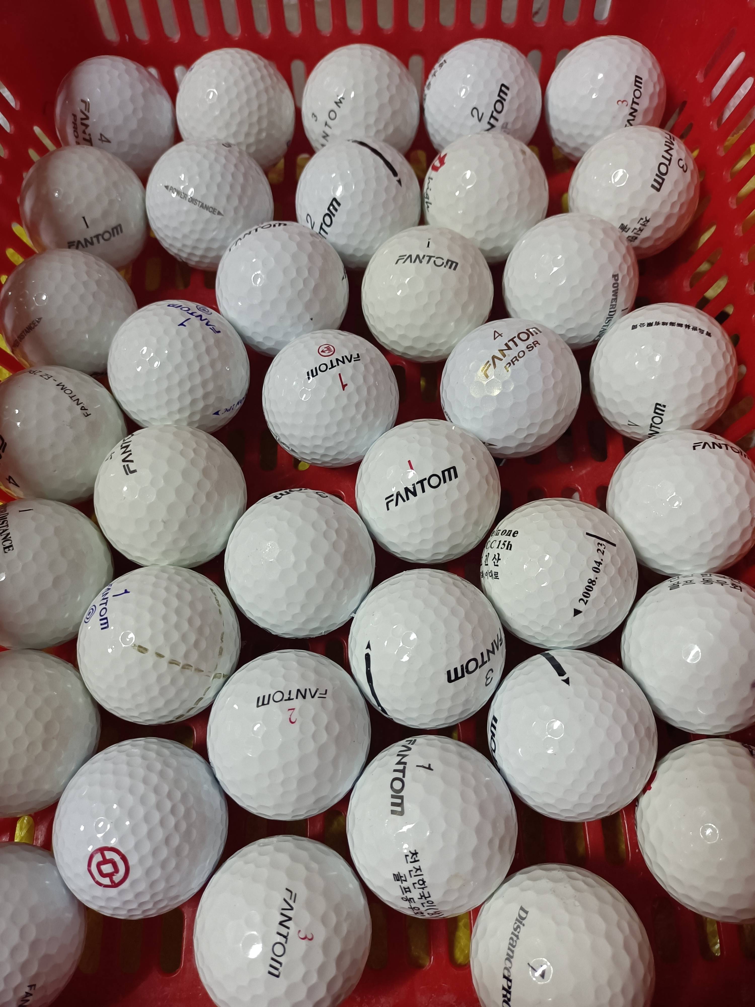 50 FANTOM8-10 % new