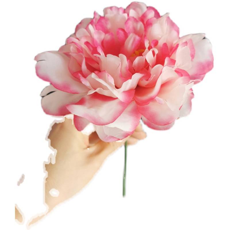 The dance is exactly the flowers of the Dai people, the osmanthus flowers, the fragrant hand with the rod ring, the red peony flower drunk Pingjiang