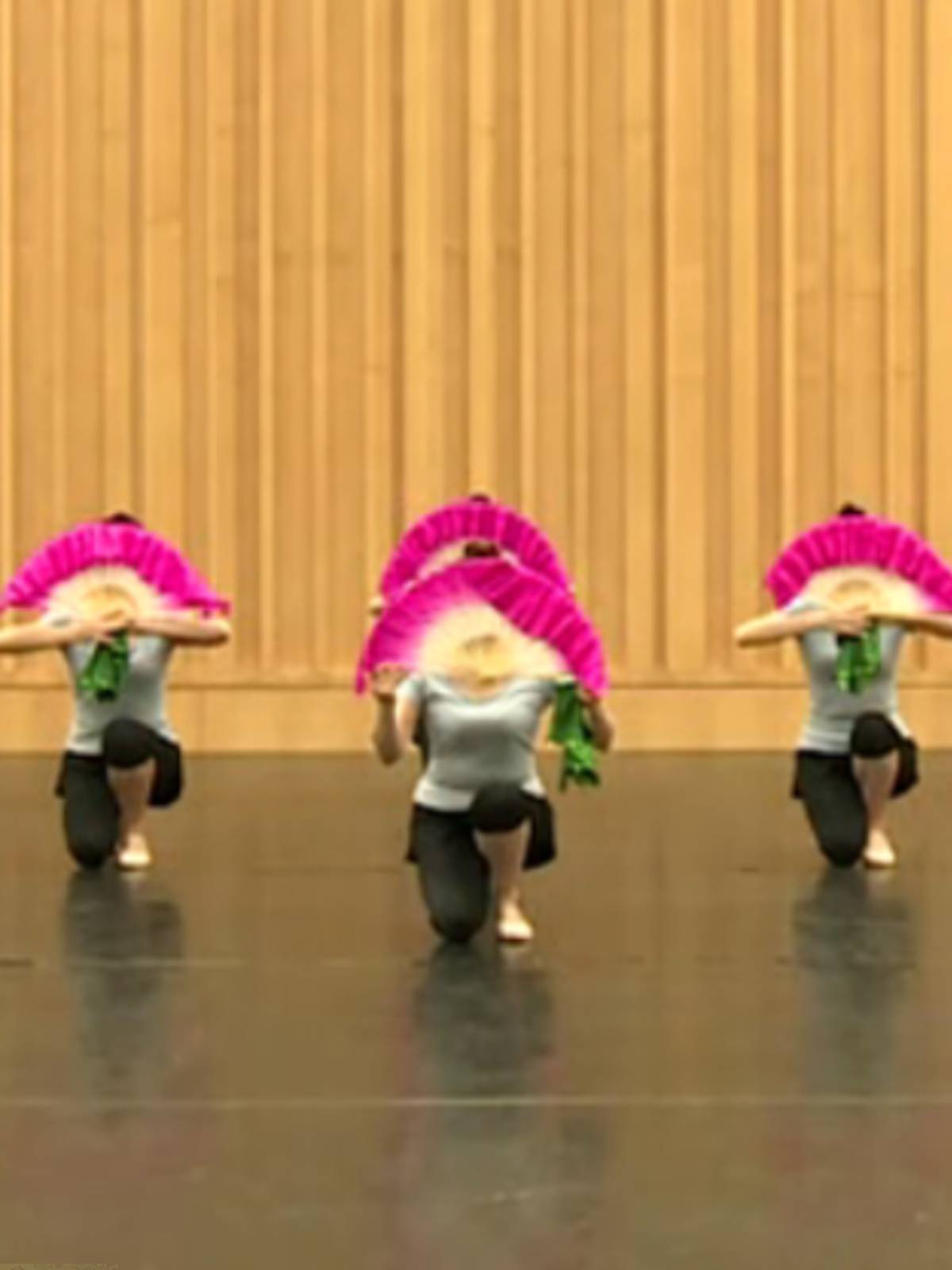 Chinese Dancers Association Flower Drum Lantern Dance Lantern Drum Lantern Dragon Flower Test 7th Level 10 Dance Grade Fan Hand Silk Prop