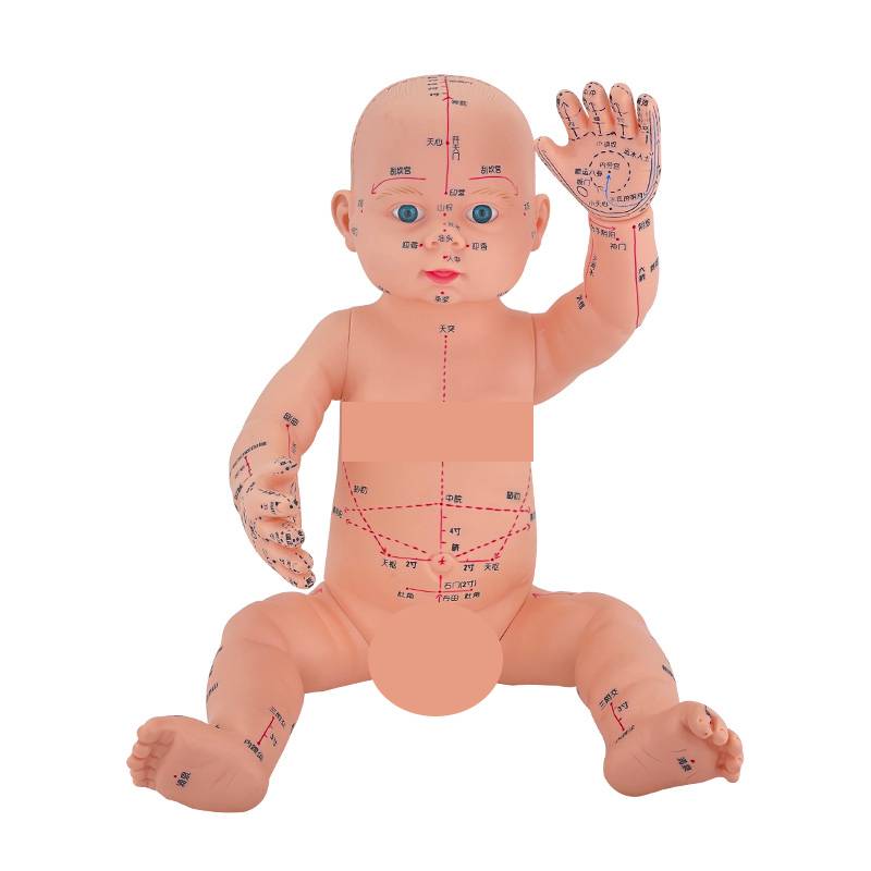 Infant human model Children's Doll Human Model Acupuncture Traditional Chinese Medicine General Acupoint Pediatric Massage Simulation Model