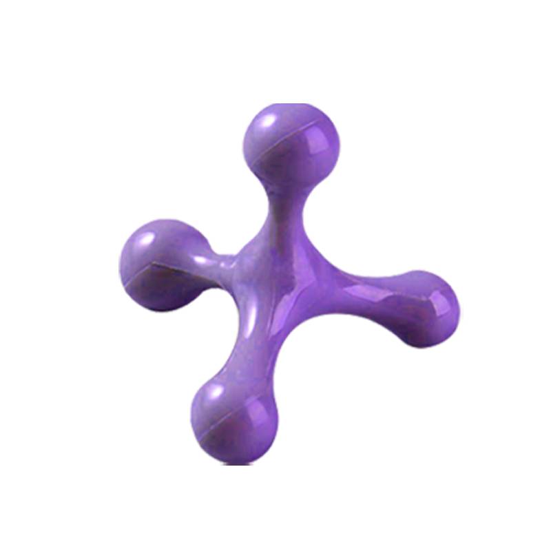 Purple four -corner auster