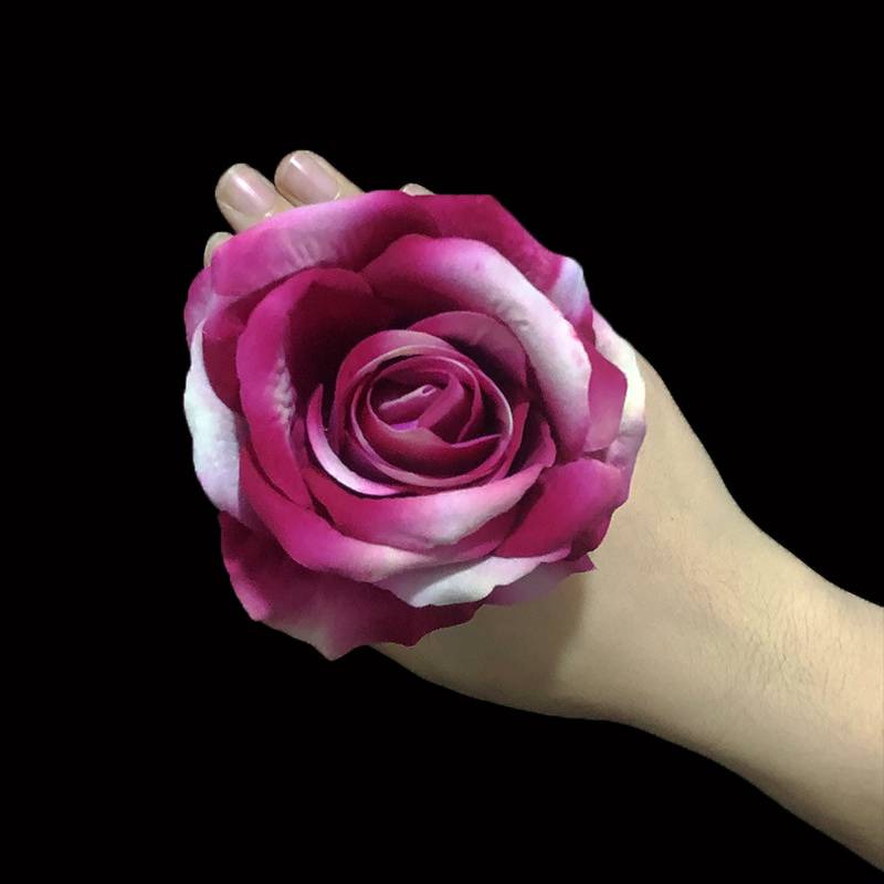 10 cm rose [Deep Rose Red]