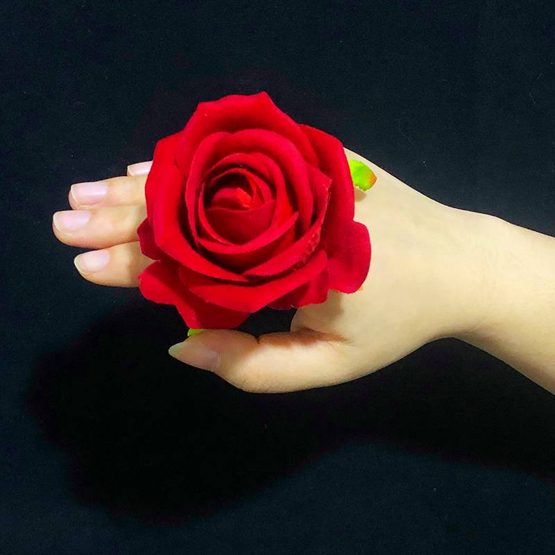 8 cm rose [Dahong]