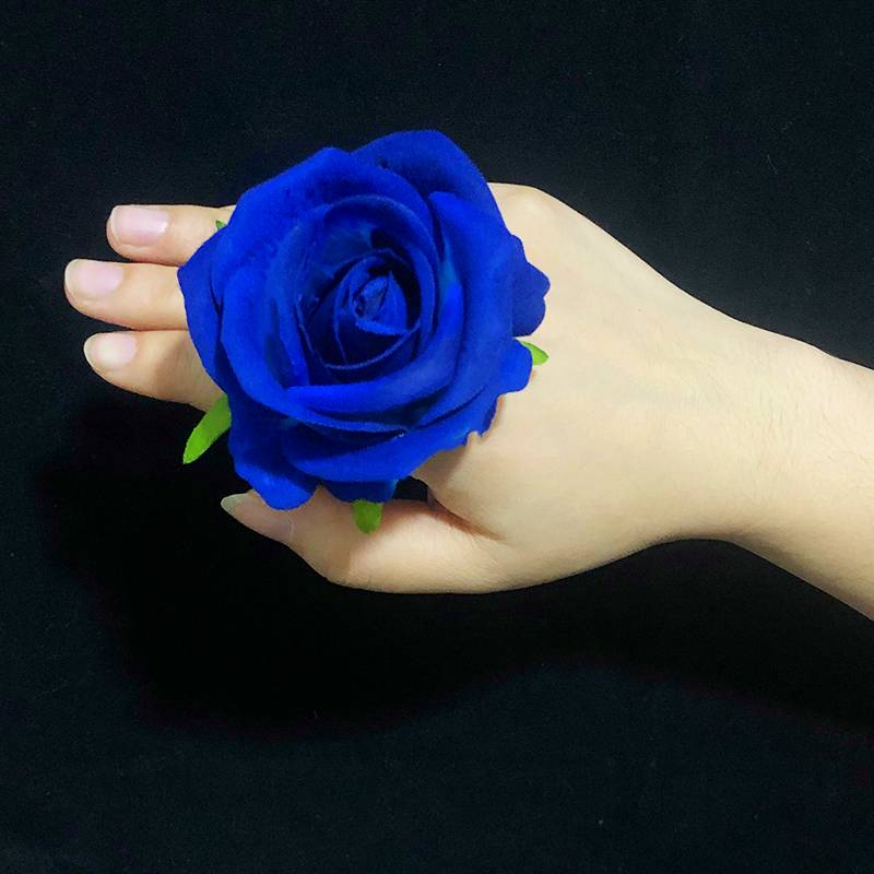 8 cm roses [Treasure Blue]
