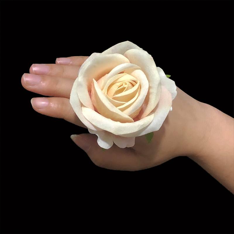 8 cm rose [apricot color]