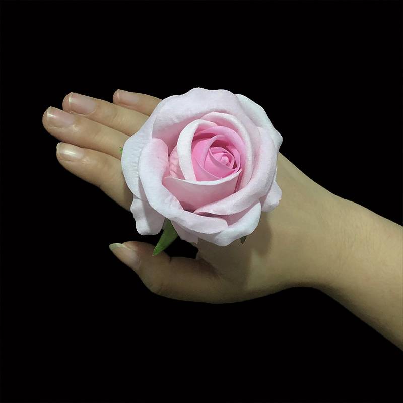 8 cm roses [ravioli powder]