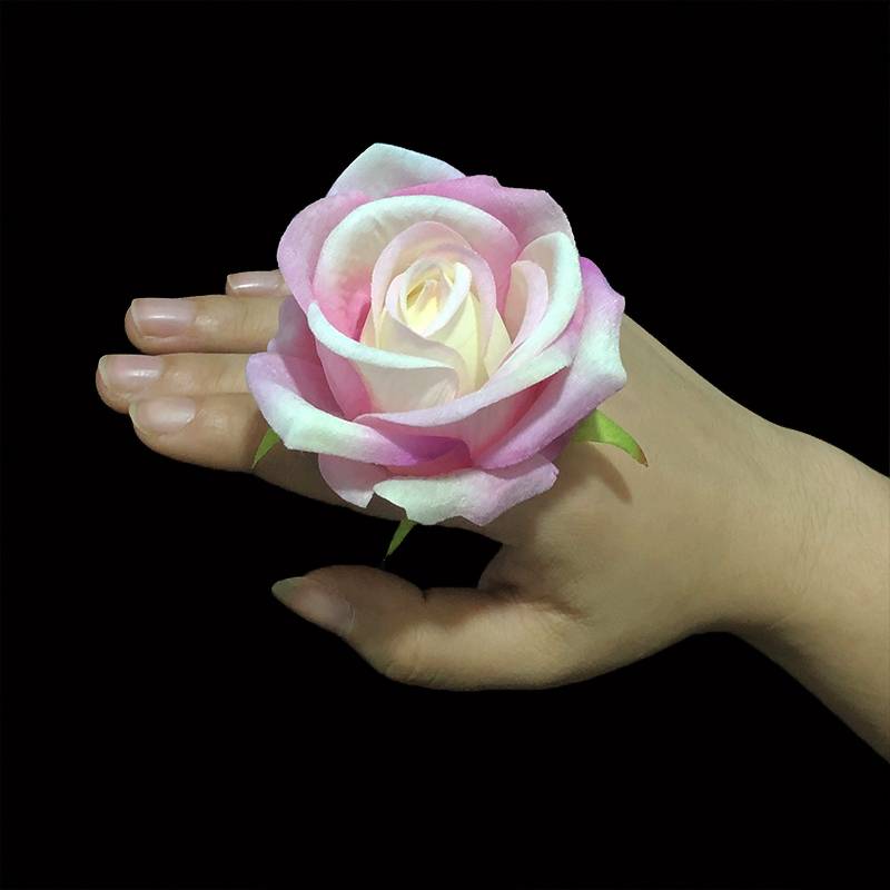 8 cm rose [light rose red]