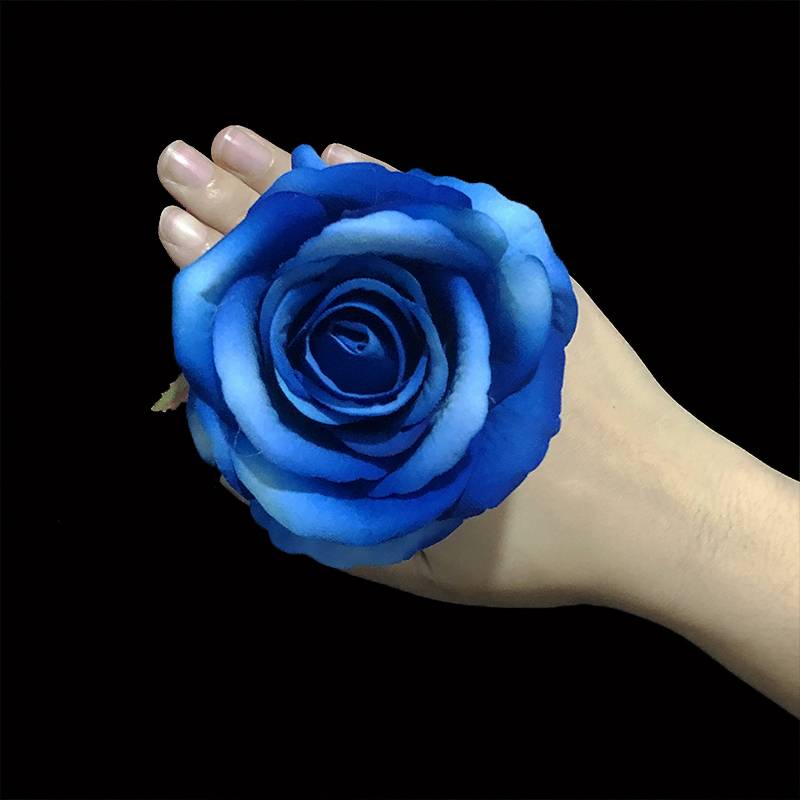 10 cm roses [Treasure Blue]