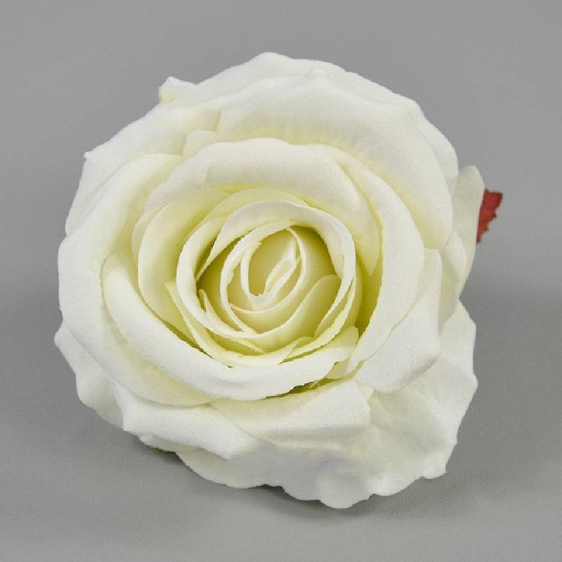 10 cm rose [White]