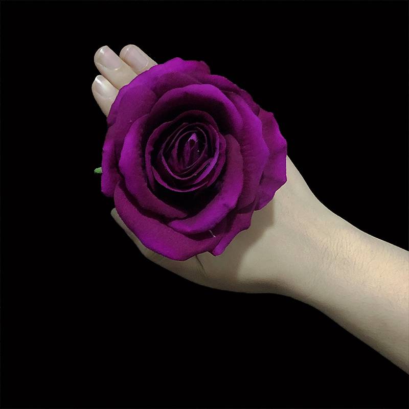 10 cm rose [Purple]