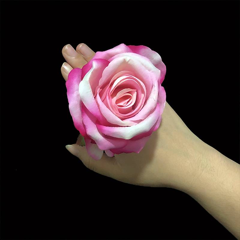 10 cm rose [light rose red]