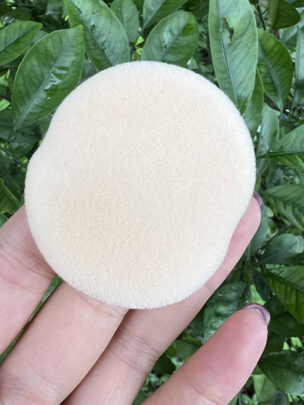 Powder replacement of amproof powder Paps well.