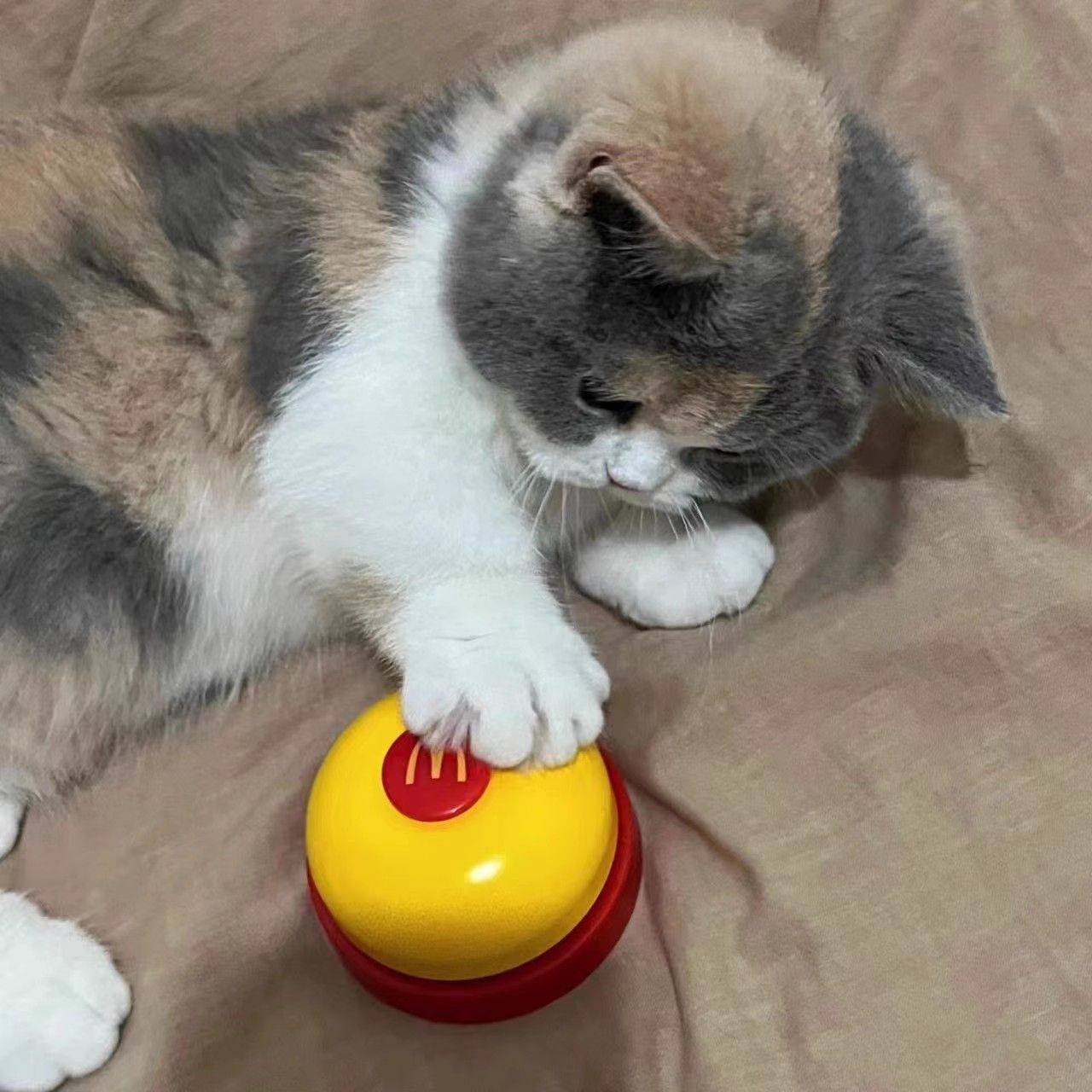 McDonald's bells ring the answering bells, tap the food table bells on the front desk, call the pets to ring the bell