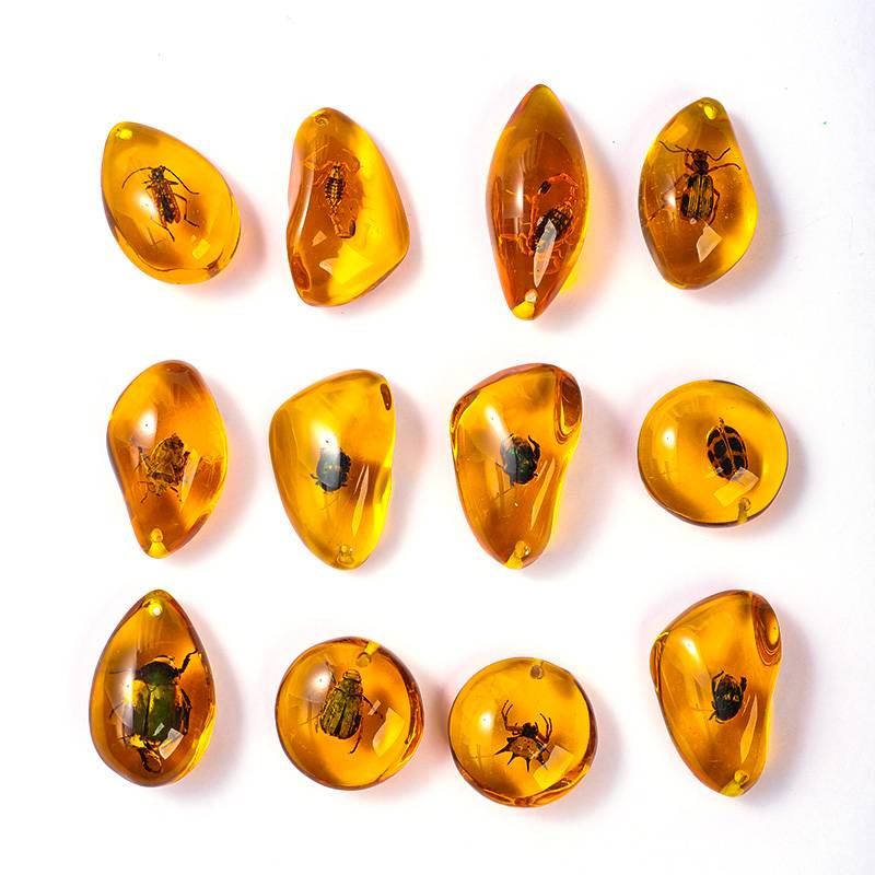 Insect amber gift bag specimen amber scorpion spider knows the wormpot gift box, the original stone children's scientific practice gift bag