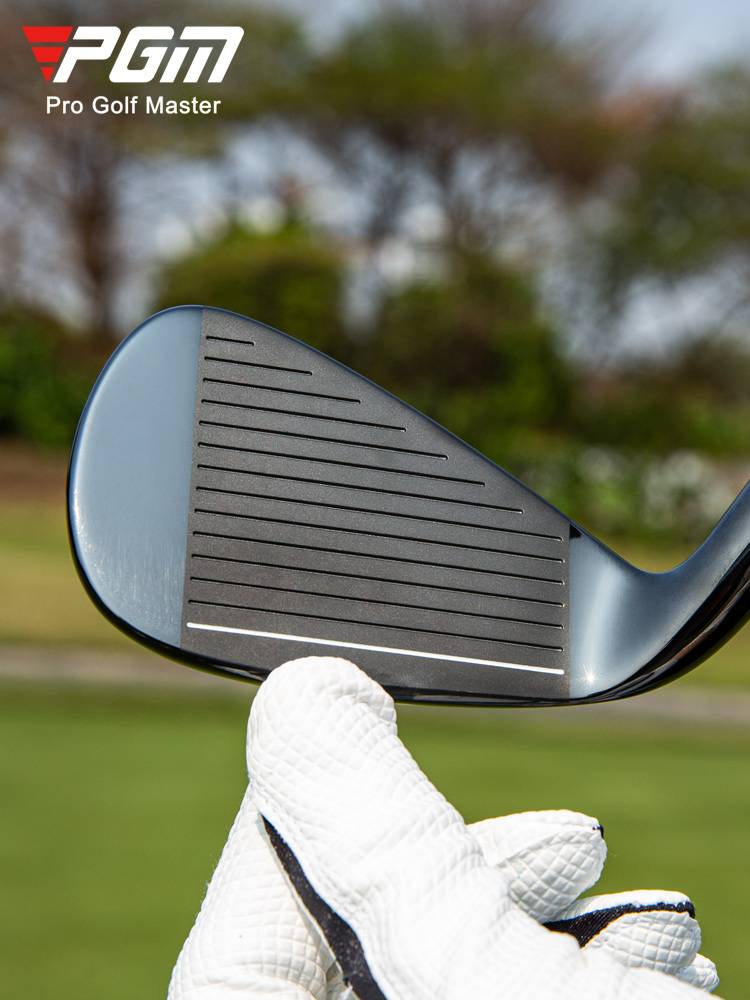 PGM, GOLF CLUB MAN, SEVEN POLES, SINGLE STAINLESS STEEL, SEVEN IRONS, WITH A WRONGLY HIGH, LOW-CORE CARBON