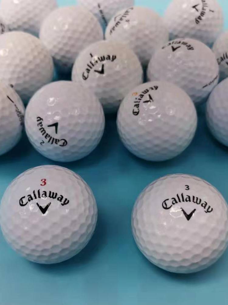 Golf Titleist PRO V1X Taylor Mecarawell 3rd or Five -Five -Five Floor games second -hand ball