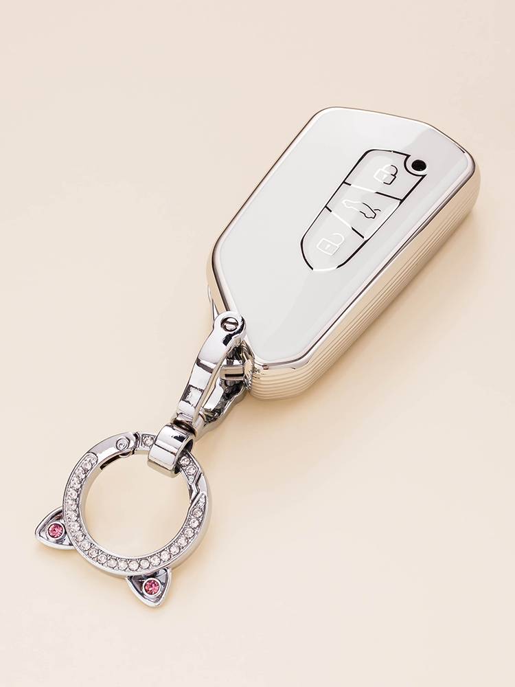 car keys for a public patrol