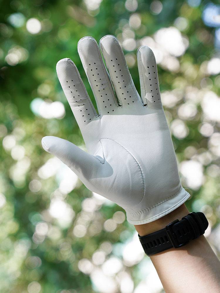 Titleist Titlis golf glove men Perma-Soft gloves sheepskin tournament gloves only
