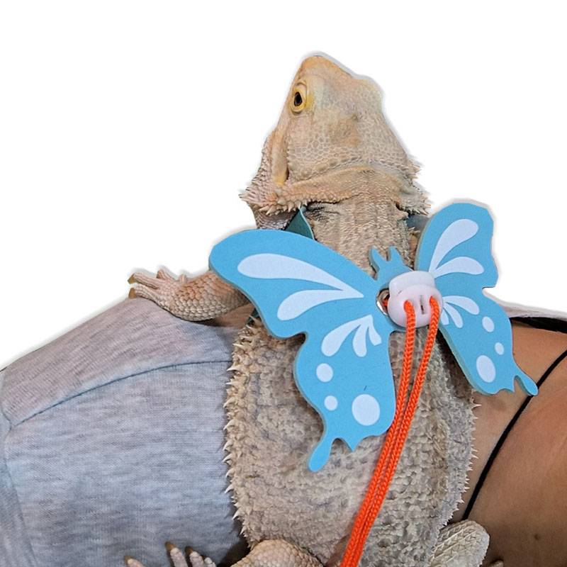 Caple Lizard Diveded Rope Lion Lizard Blue Tongue Direction Belt Big Lizard Rope Climbing Pets Lead Rope Belt