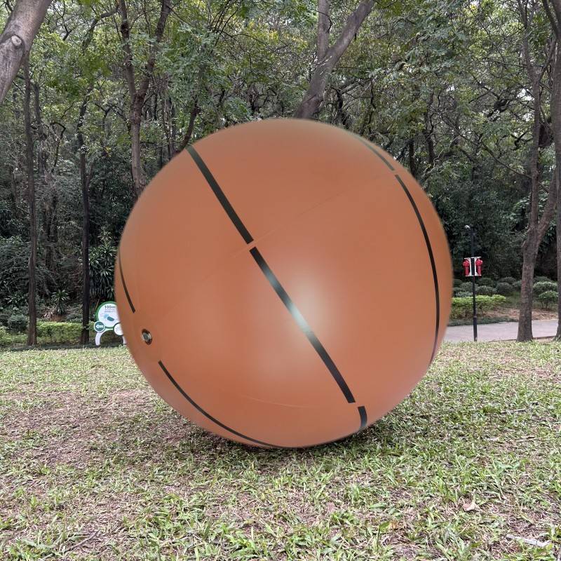 80 cm basketball+electrical pump