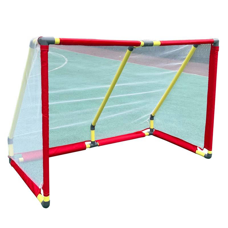 100 hockey goals
