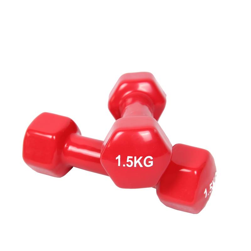 I've been thinking about immersing in the six-bit dumb bells
