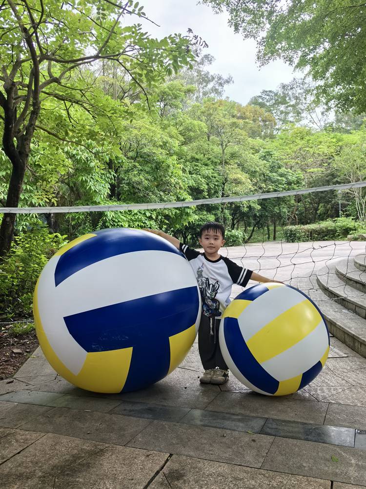 Efrion Big Volleyball Children's Outdoor Lawn Parent -Child Interactive Prop