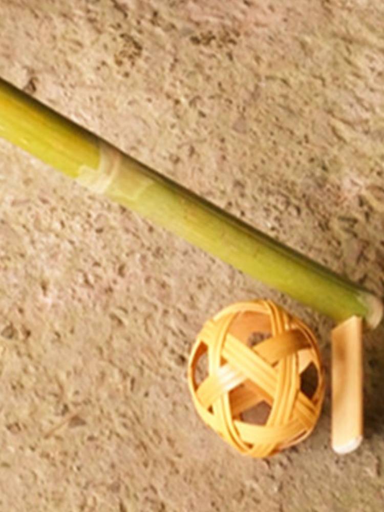 Bamboo hub club hockey pole Anji outdoor player Kindergarten/children's interactive ball toys