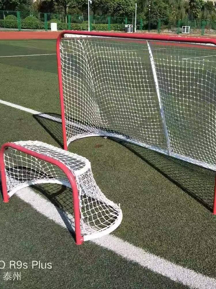 A soft hockey door, a standard game door, a dryland hockey door, a folding of a football door, a simple ball