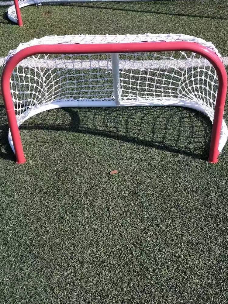 A soft hockey door, a standard game door, a dryland hockey door, a folding of a football door, a simple ball