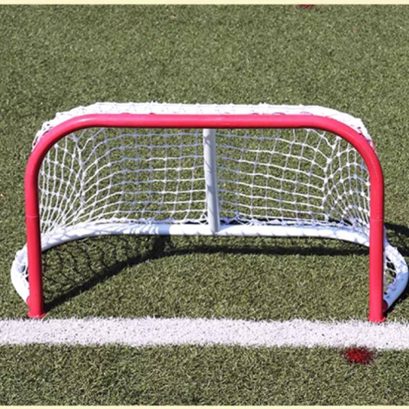 Little ice hockey goal+net