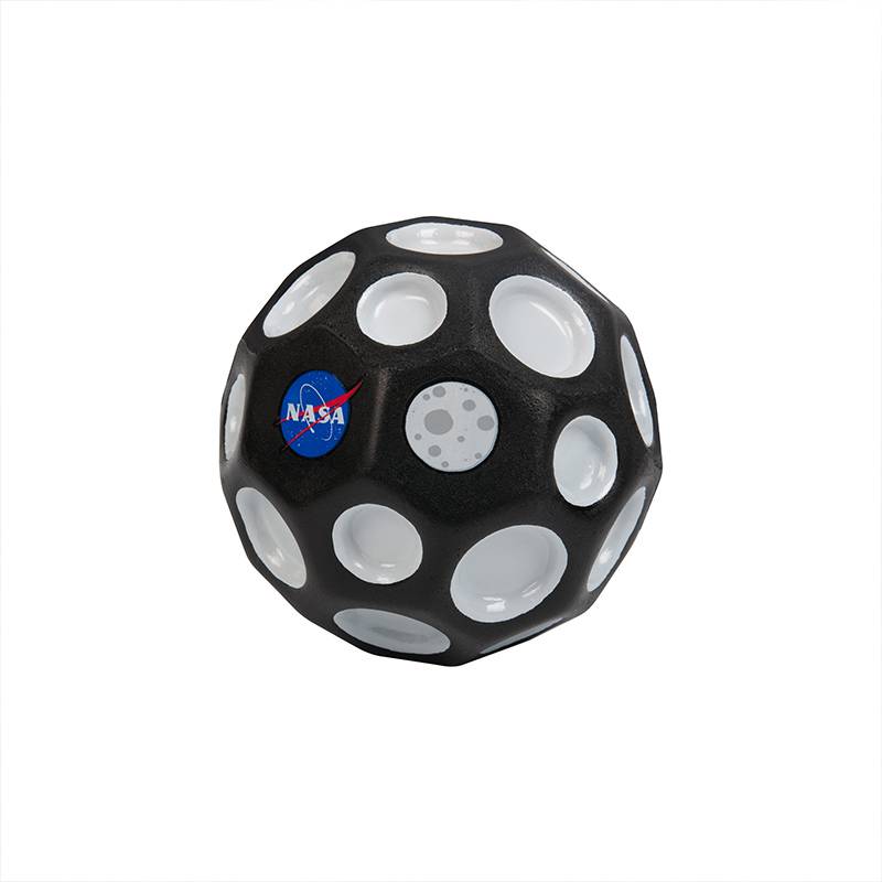 NASA joint name-Flying Moon Commemorative model