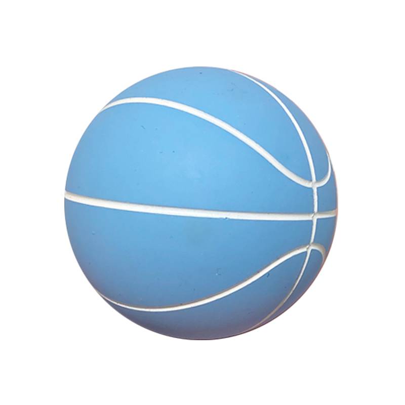 Sky Blue Basketball