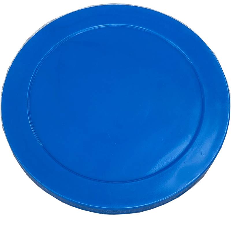 David hockey, David Becken Star Stroke Hockey Cake 72*6.5mm ice hockey push game machine accessories