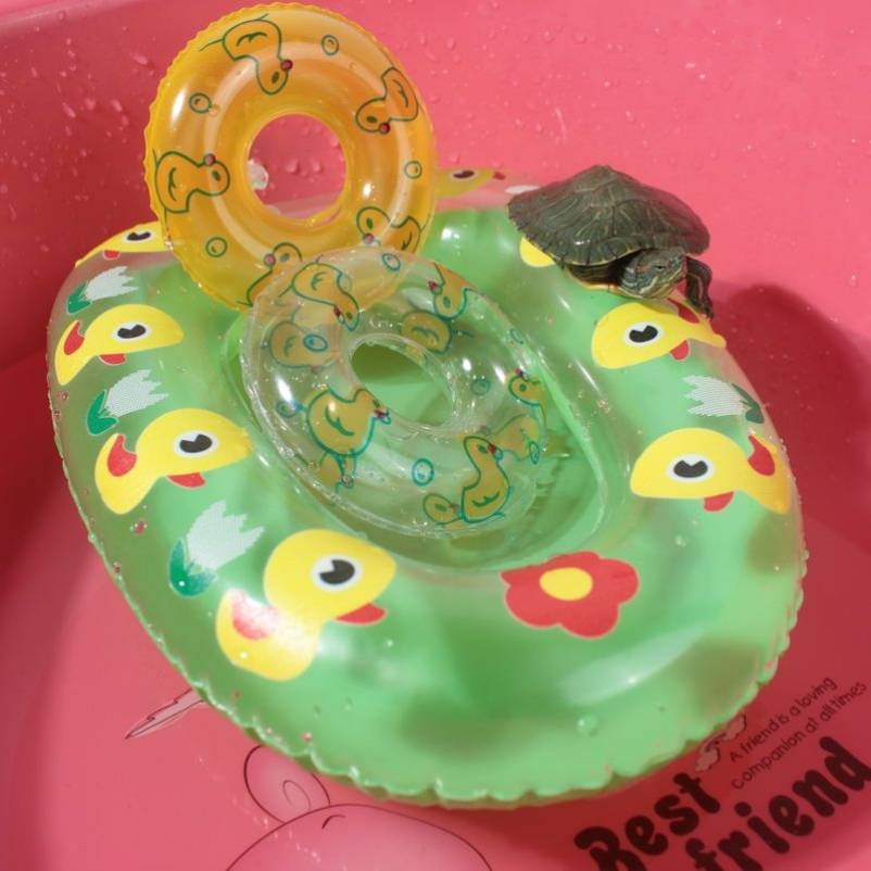 The turtle swimming circle pet small swimming circle moves the sunburn to climb the platform small climbing pet fire bird donut
