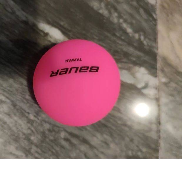 Bauer, land hockey, roundball, hockey, training, roller skates