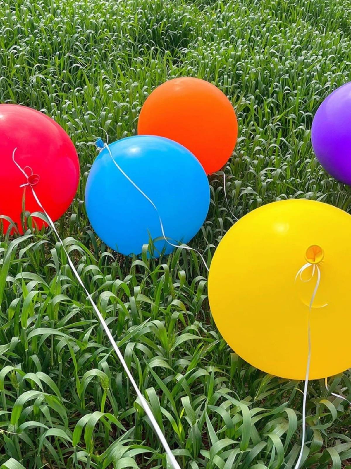 Douyin is the same inflatable oversold balloon thickened grassland children to shoot outdoor camping toys net red decompression ball