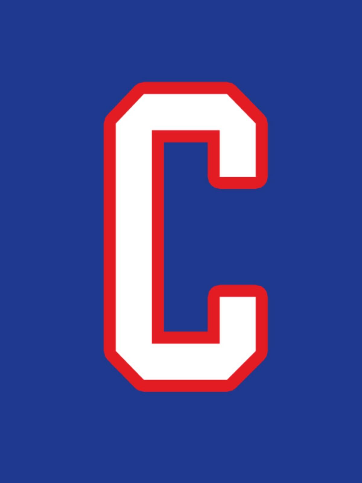 EALER Eale Ice Hockey Series C, Captain C, Deputy Captain A Captain Bid Ice Hockey Laboratory AC