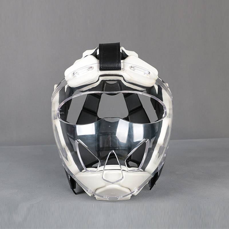 Professional helmet (universal model)