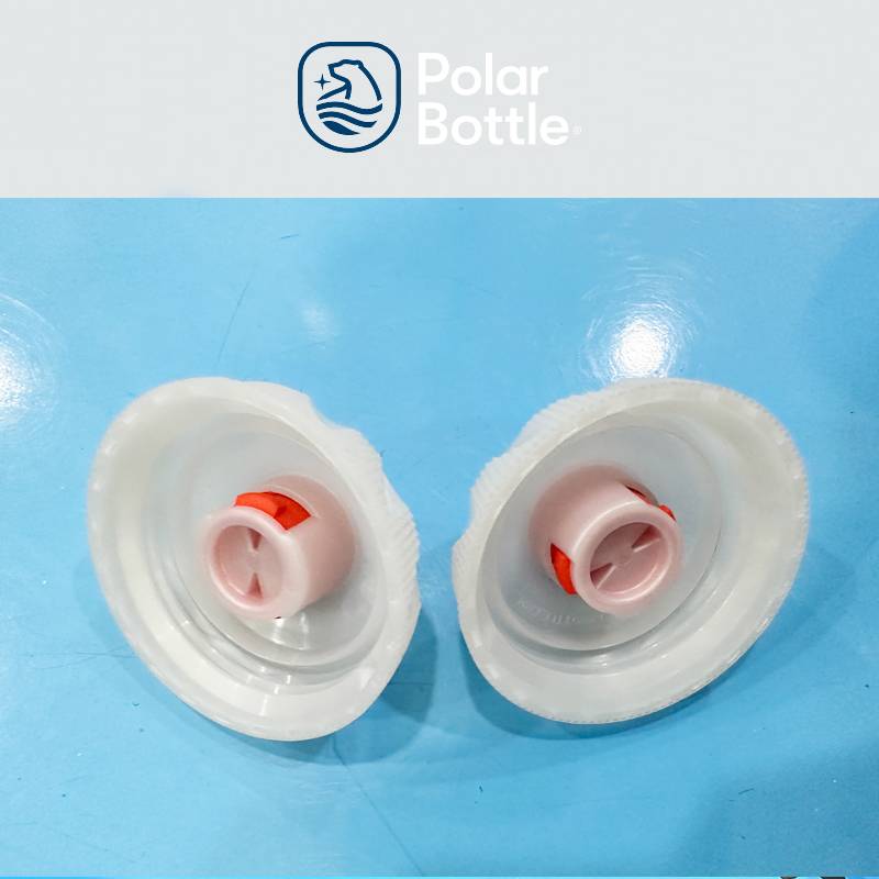 Special offer polar bear iceball kettle joint name Dutch Maple Leaf Speed ​​Water Skating Cup Sports Large -capacity Food Cup