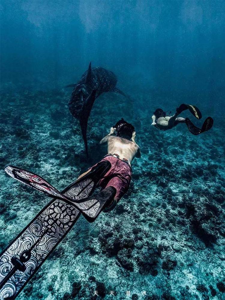 Australian DIVER high -value pure carbon fiber long foot (including foot sets) professional fishing and hunting free diving