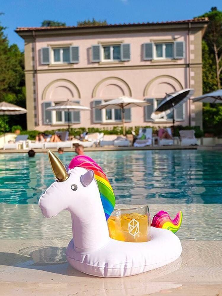 Pet swimming circle fire birds floating cup toy unicorn coating coin photography background props