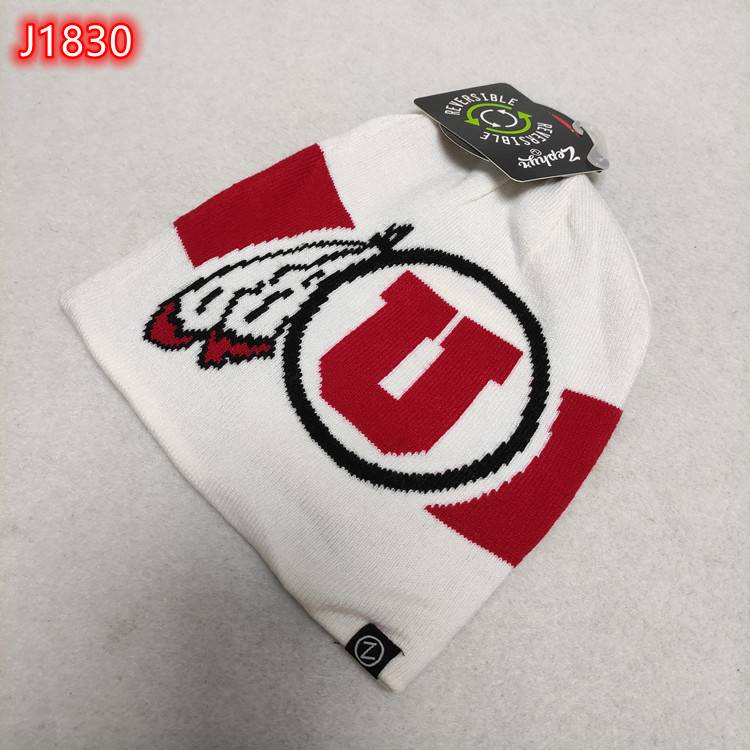 Basketball Ice Hockey University Alliance Team Candid Embroidered Covered Covered Counter -Ski Rap Cold Hat Tide