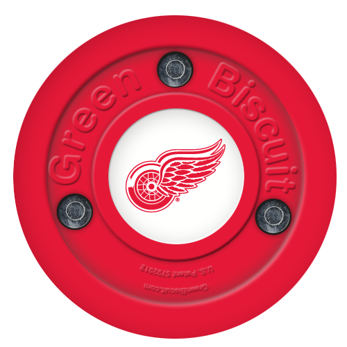 Detroit Red Wing Team