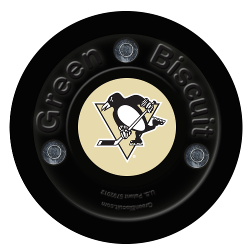Pittsburgh Penguin Team